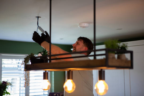 Best Electrical Repair Services  in Meadow Les, AK
