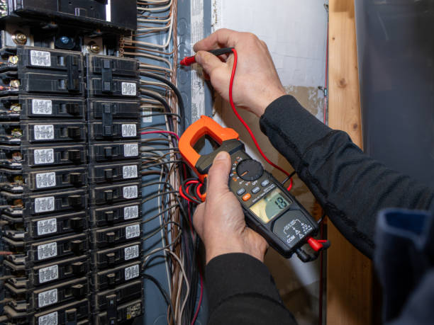 Best Local Electrician Companies  in Meadow Les, AK