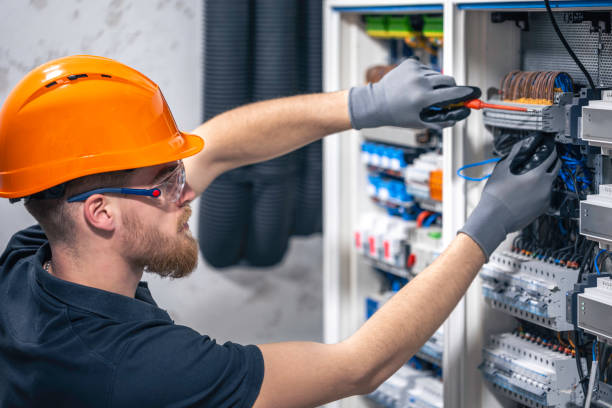 Best Electrician for Home Renovation  in Meadow Les, AK